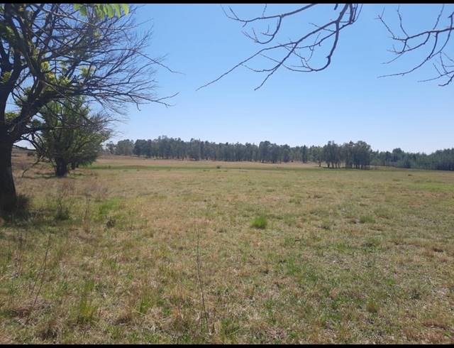 FARM FOR SALE IN RAYTON